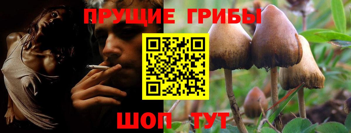 как найти   Вход с VPN  Ирбит  Псилоцибиновые грибы мицелий 